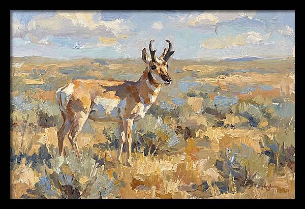 Pronghorn In The Wild