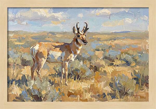 Pronghorn In The Wild
