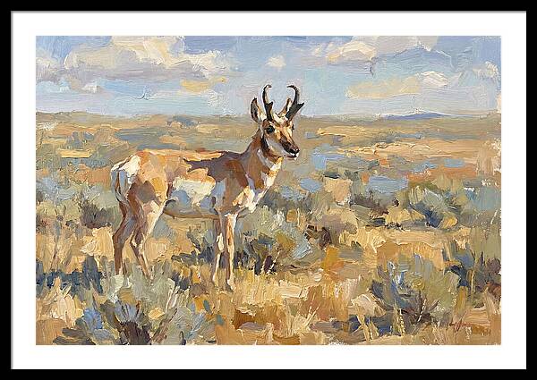 Pronghorn In The Wild
