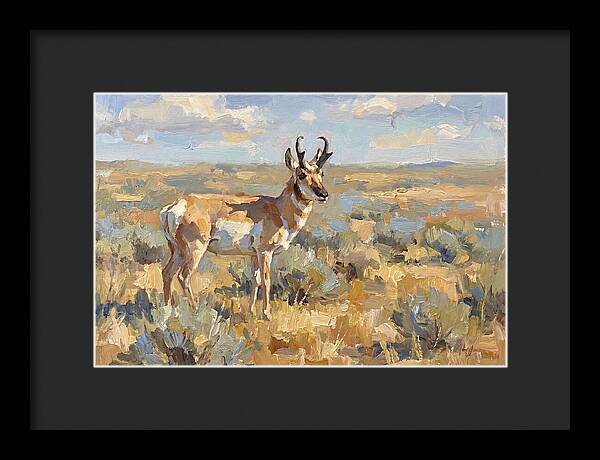 Pronghorn In The Wild