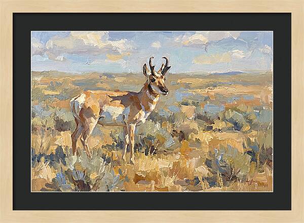 Pronghorn In The Wild