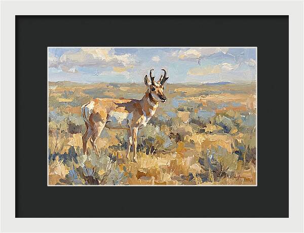 Pronghorn In The Wild