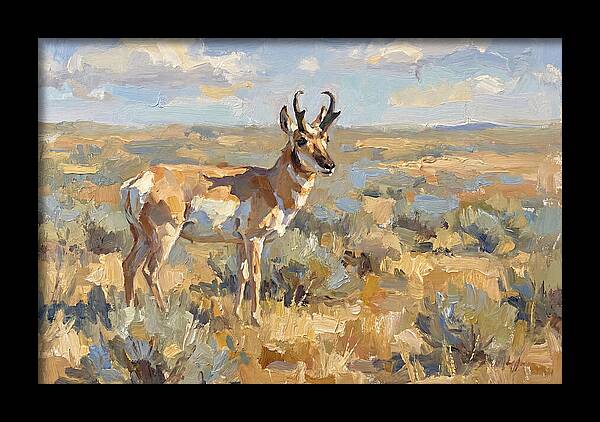 Pronghorn In The Wild