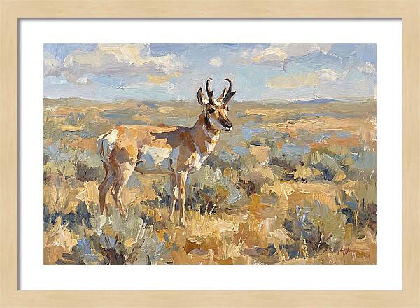 Pronghorn In The Wild