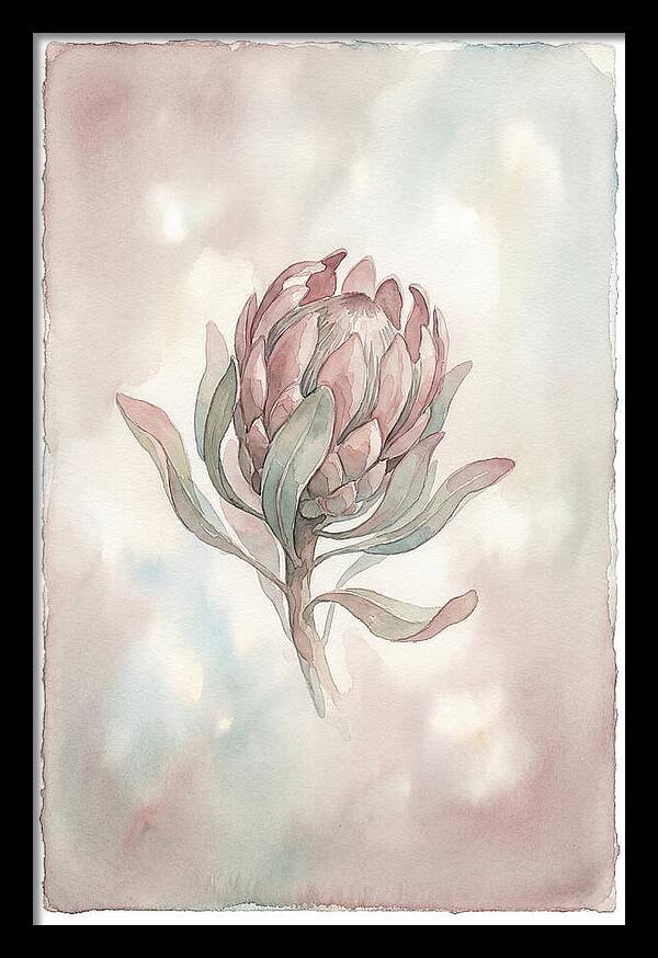 Protea Blooming Elegance