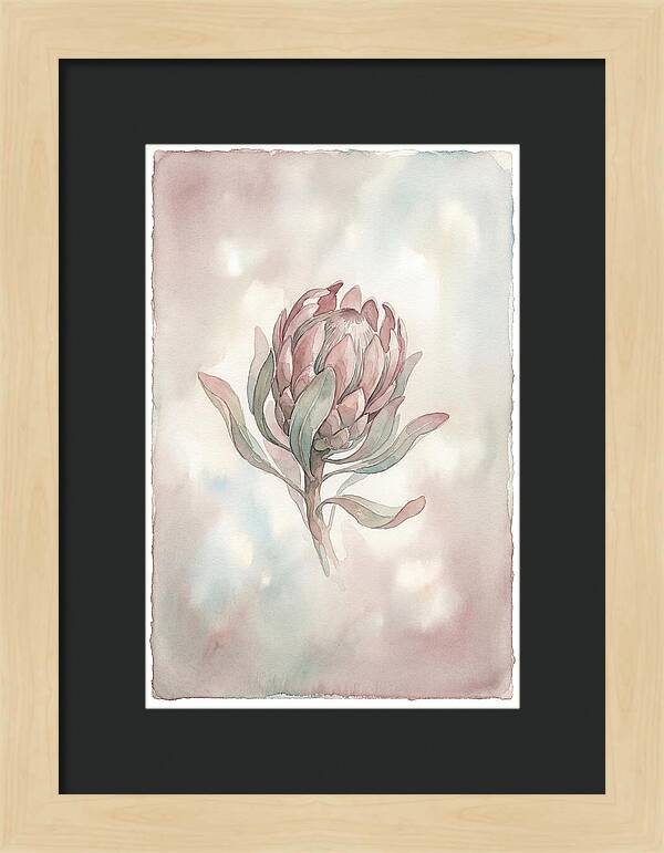 Protea Blooming Elegance