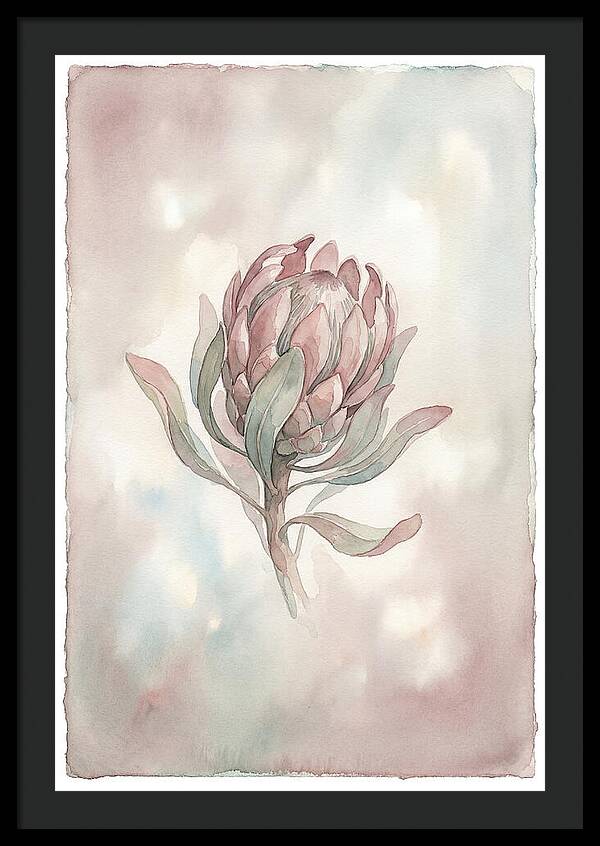 Protea Blooming Elegance