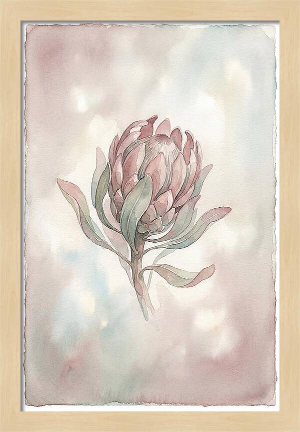 Protea Blooming Elegance