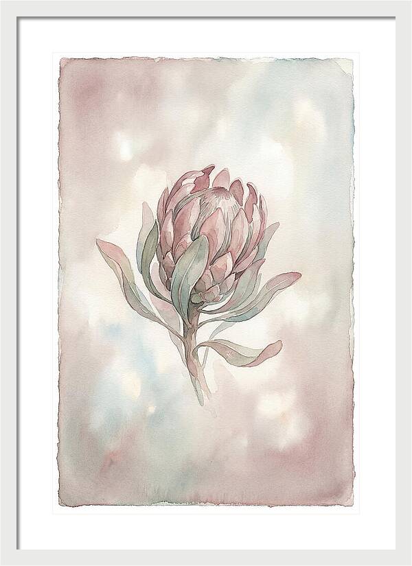 Protea Blooming Elegance