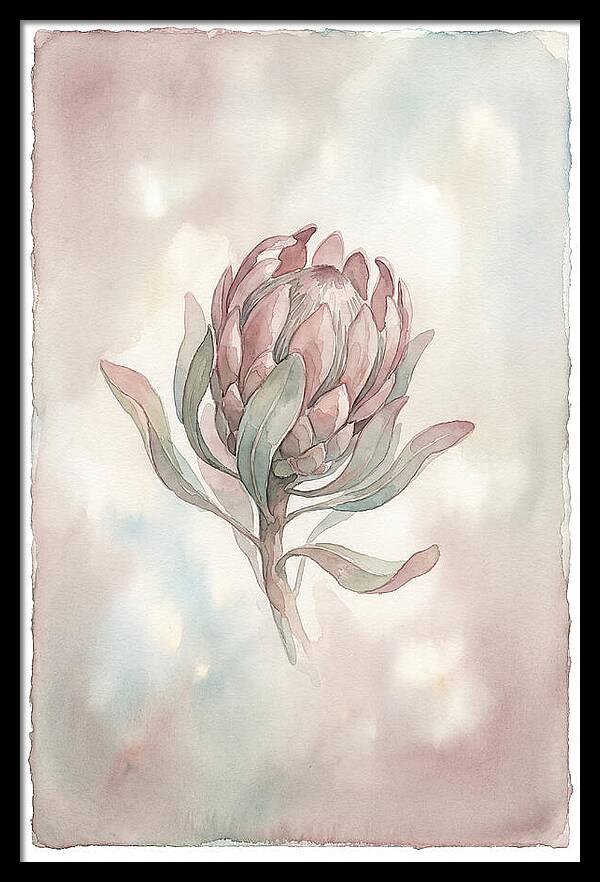 Protea Blooming Elegance
