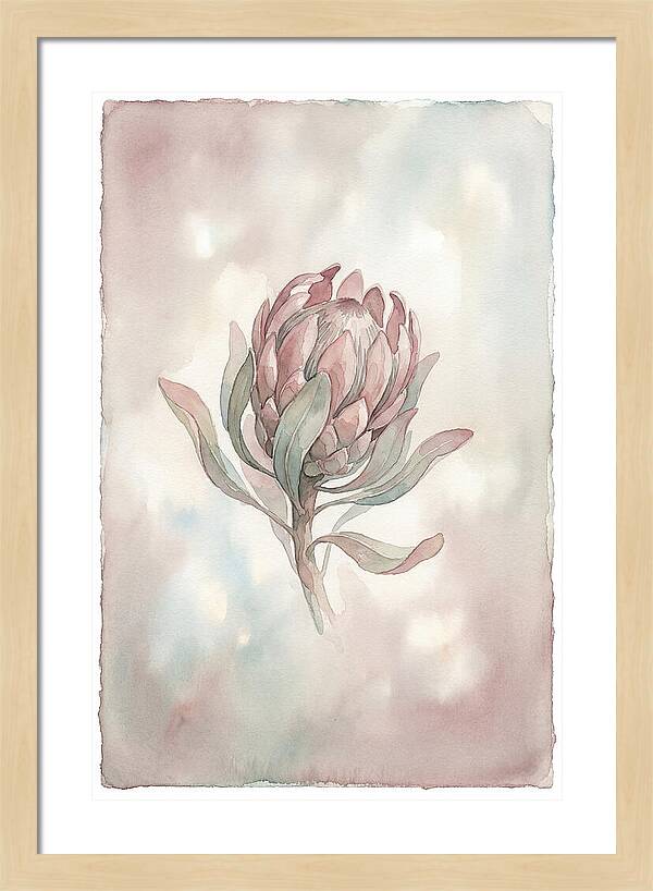 Protea Blooming Elegance