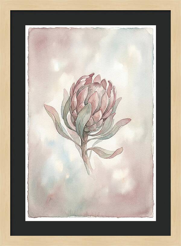 Protea Blooming Elegance
