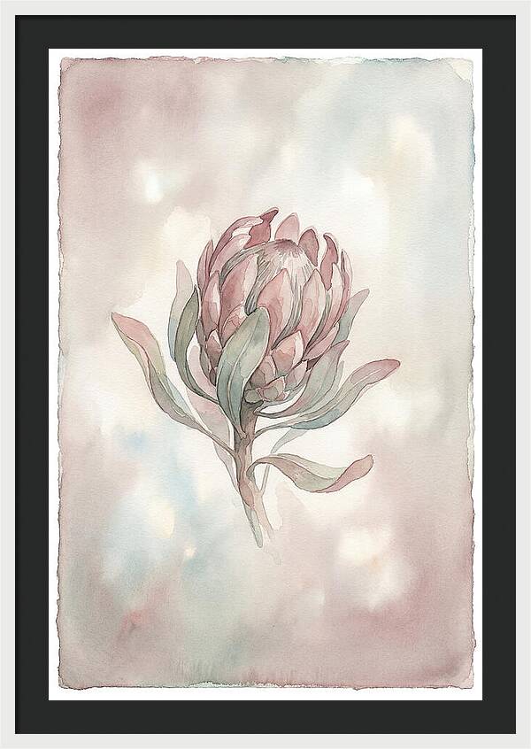Protea Blooming Elegance