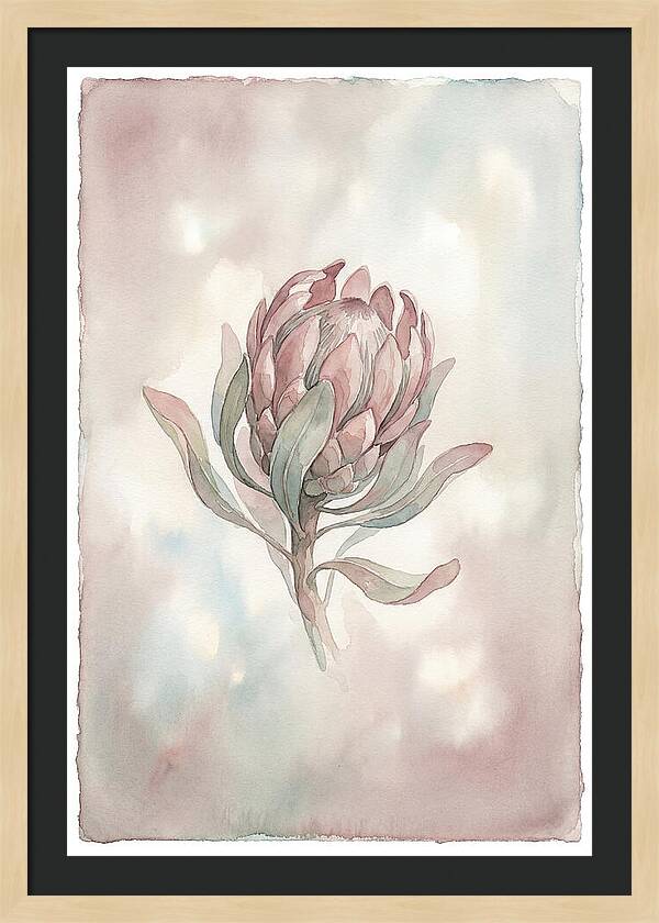 Protea Blooming Elegance