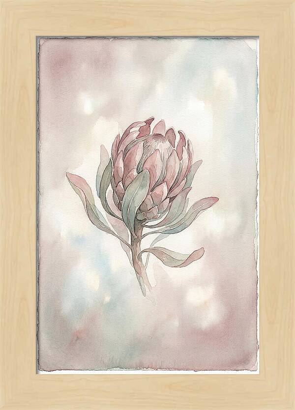 Protea Blooming Elegance
