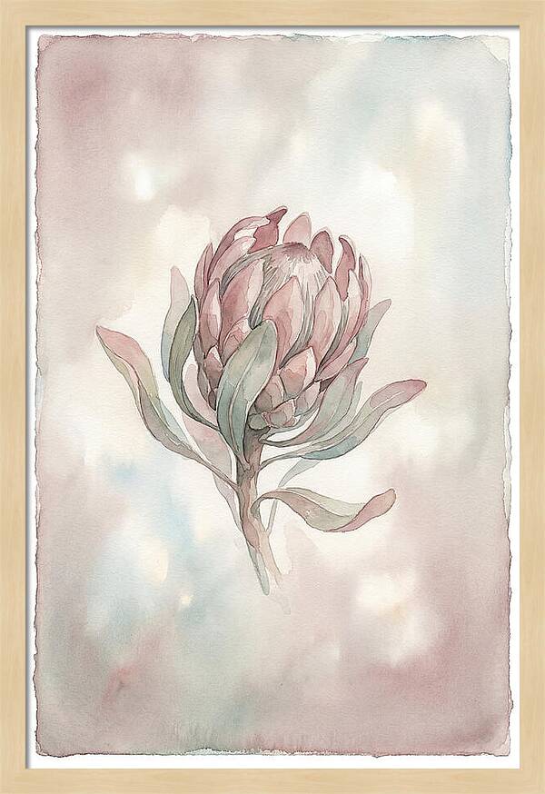 Protea Blooming Elegance