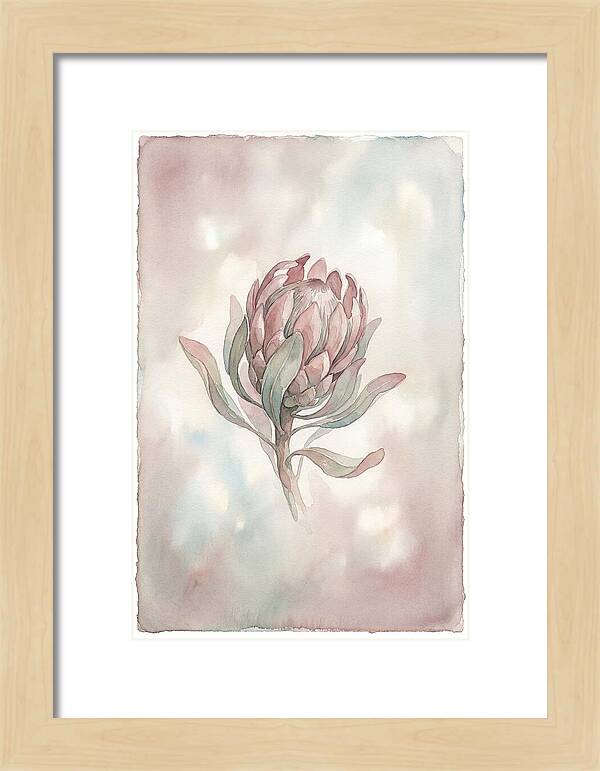 Protea Blooming Elegance