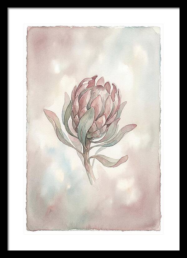 Protea Blooming Elegance