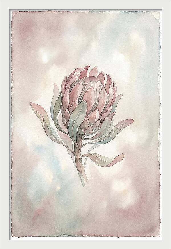 Protea Blooming Elegance