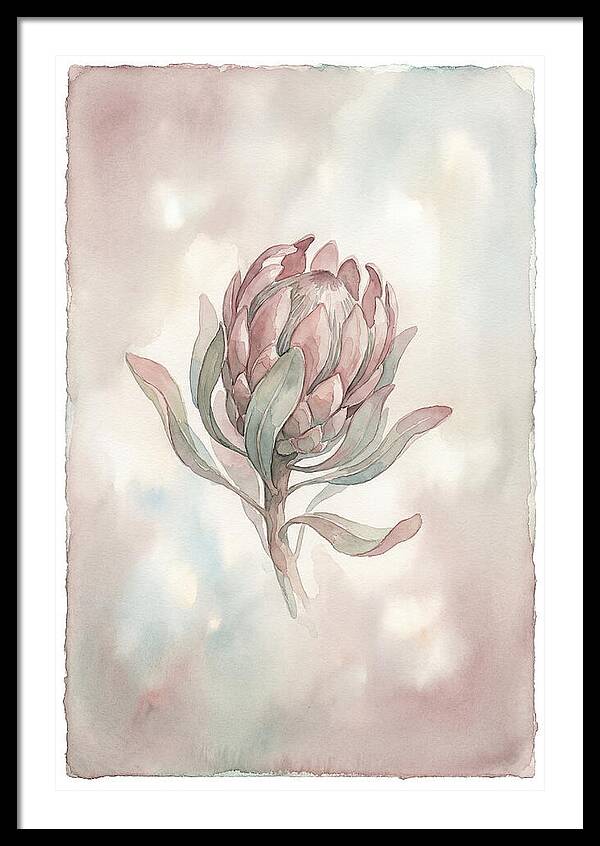 Protea Blooming Elegance