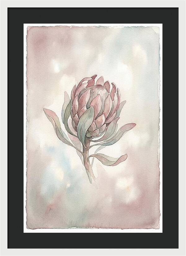 Protea Blooming Elegance