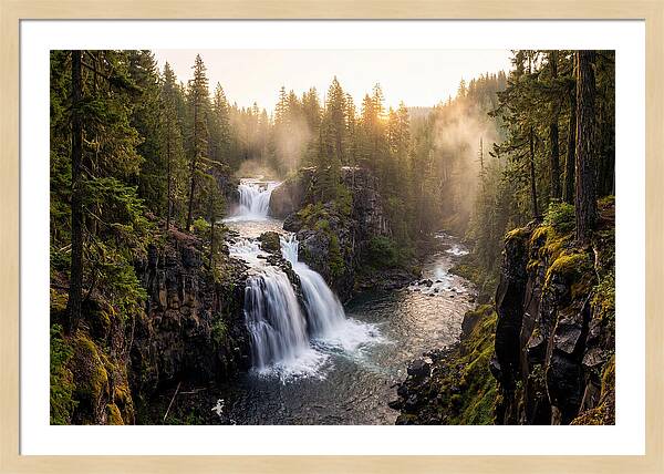 Proxy Falls Serenity