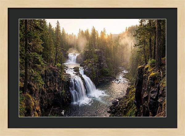 Proxy Falls Serenity
