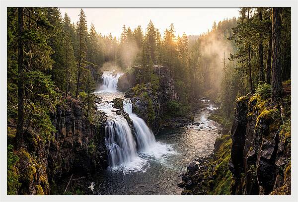 Proxy Falls Serenity