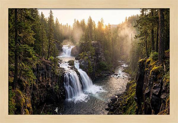 Proxy Falls Serenity
