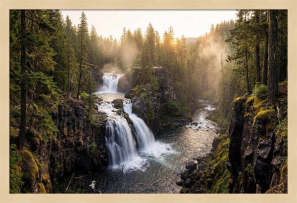 Proxy Falls Serenity