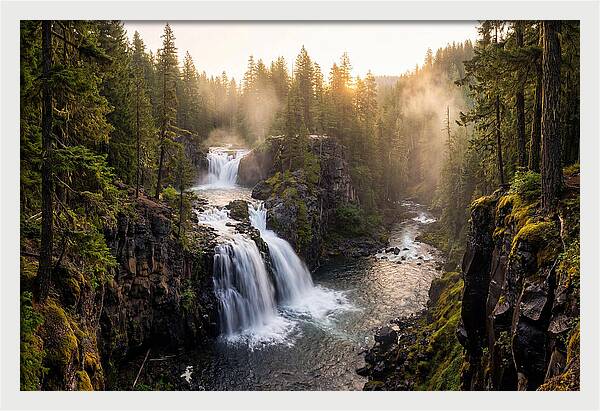 Proxy Falls Serenity