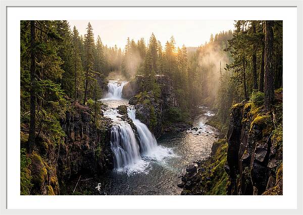 Proxy Falls Serenity