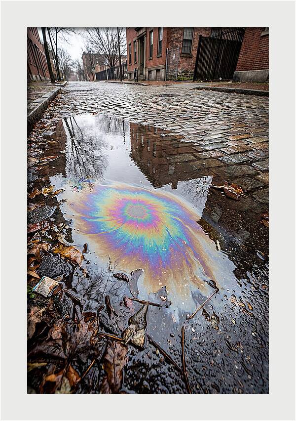 Puddle Oil Rainbow