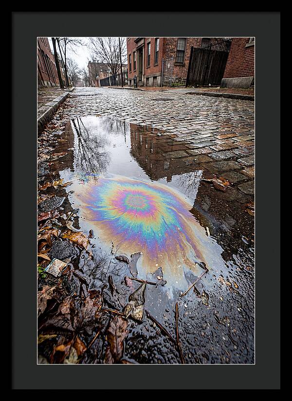 Puddle Oil Rainbow