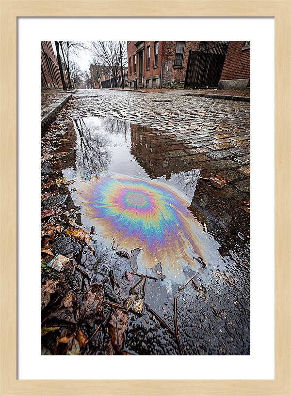 Puddle Oil Rainbow