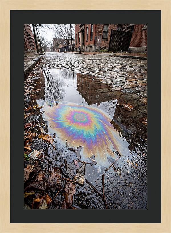 Puddle Oil Rainbow