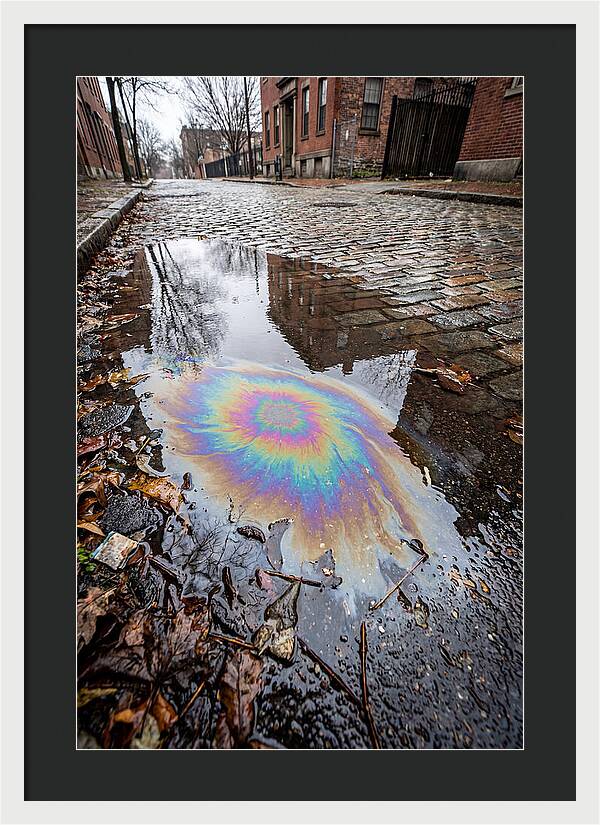 Puddle Oil Rainbow