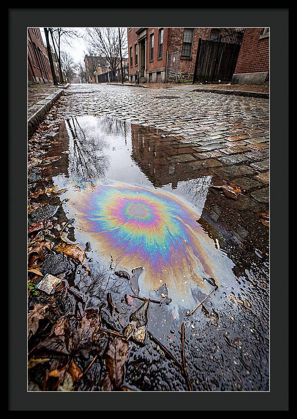 Puddle Oil Rainbow