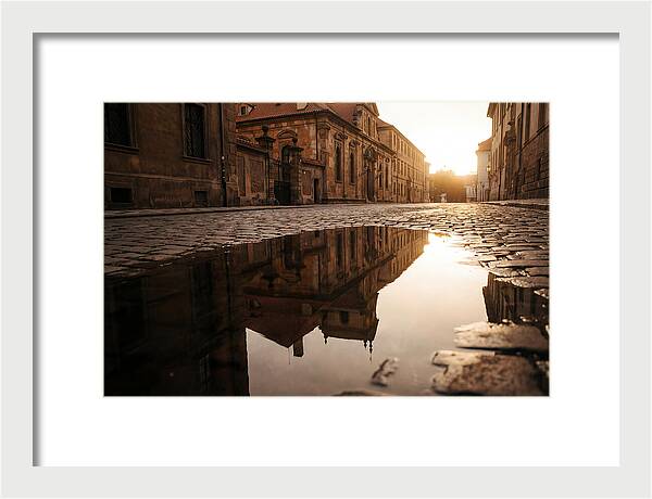Puddle Reflection At Dusk