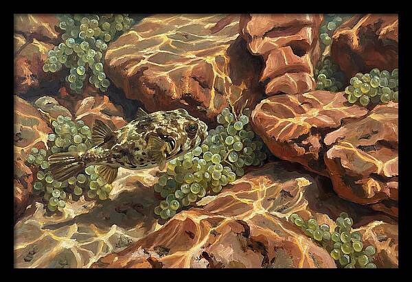 Pufferfish Among Mediterranean Rocks