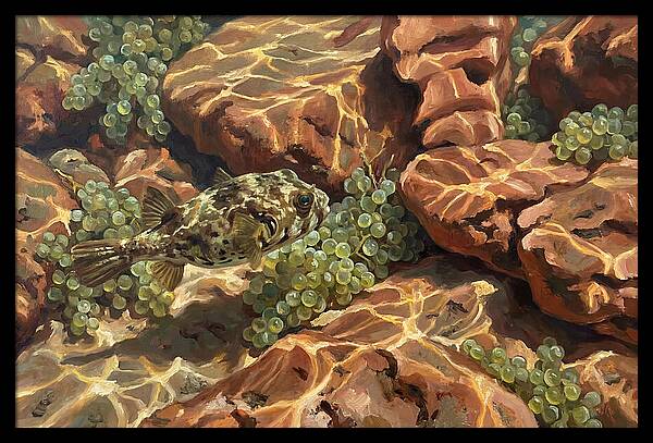 Pufferfish Among Mediterranean Rocks