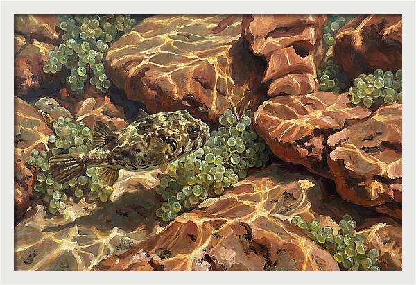 Pufferfish Among Mediterranean Rocks