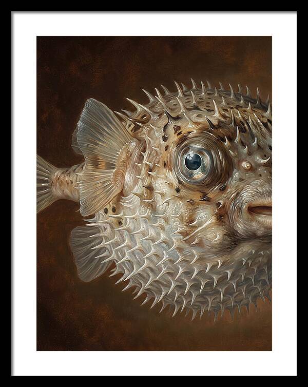 Pufferfish Portraiture