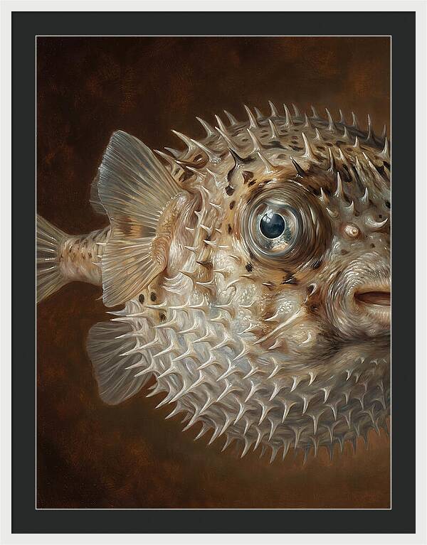 Pufferfish Portraiture
