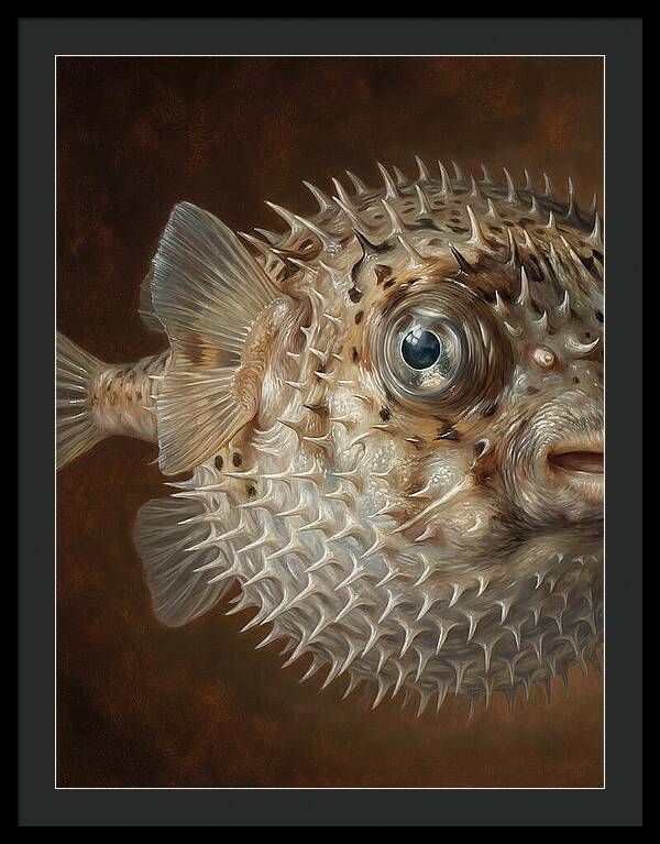 Pufferfish Portraiture