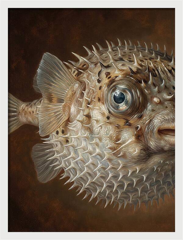 Pufferfish Portraiture