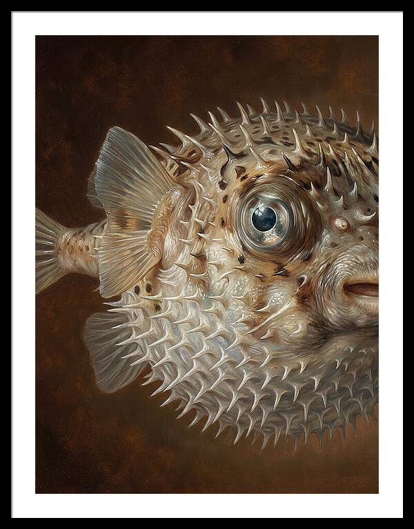 Pufferfish Portraiture