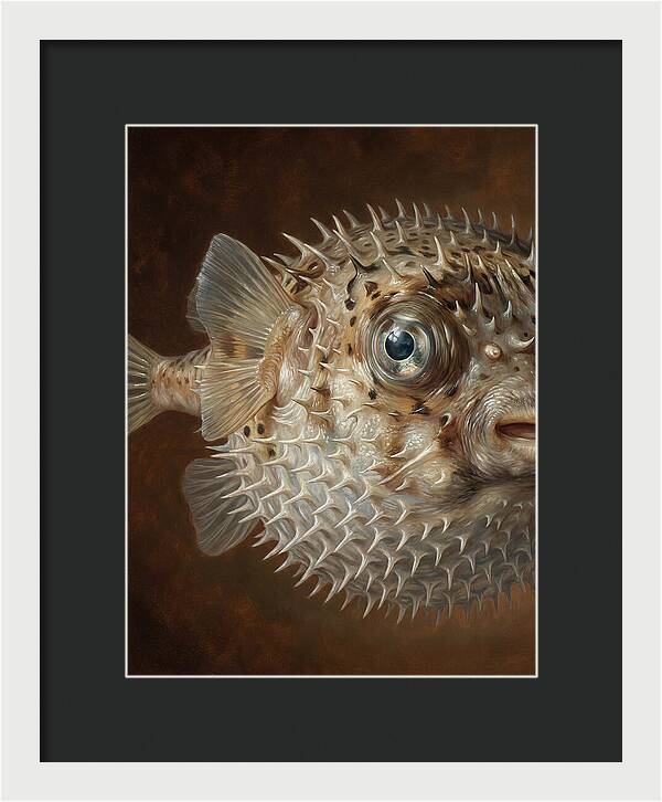 Pufferfish Portraiture