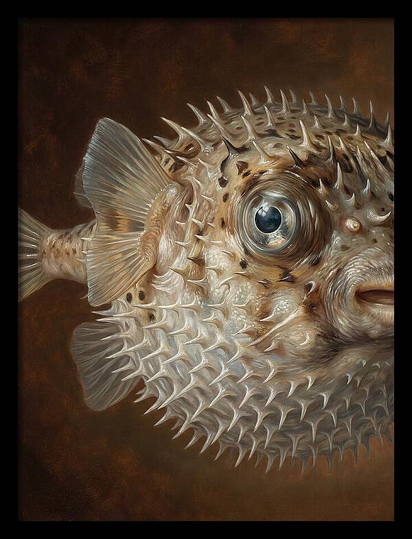 Pufferfish Portraiture