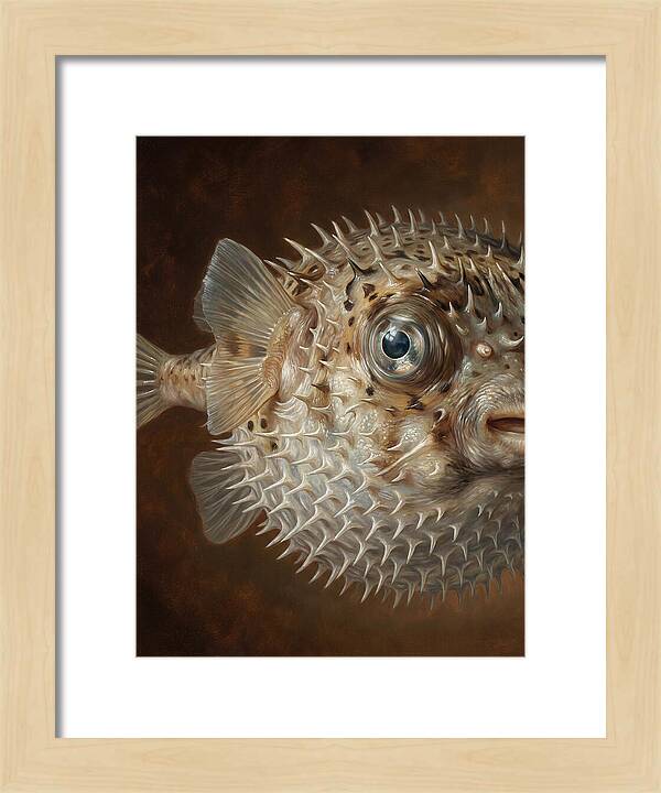 Pufferfish Portraiture